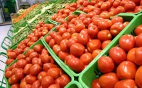 Tomates : le Maroc, troisième fournisseur de l'UE, talonne l'Espagne