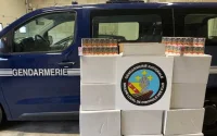 Haute-Garonne : grosse saisie de cartouches de cigarettes de contrebande arrivant du Maroc