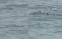 Maroc : le rêve de Ceuta s'achève dans les eaux de Fnideq