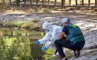 Décès tragique d'une fillette marocaine dans un étang en Espagne