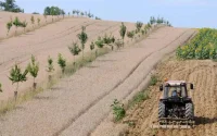 Des Marocains réduits à l'esclavage dans le Lot-et-Garonne