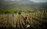 Une cheffe d'entreprise marocaine condamnée en Gironde