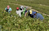 En Gironde, des Marocains dénoncent « une vaste arnaque »