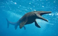 Un géant des mers marocain semait la terreur dans les océans