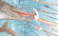 Découverte au Maroc d'un fossile de mosasaure avec d'étranges dents en forme de tournevis