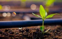 Le Maroc se positionne comme futur hub d'énergies propres vers l'Europe