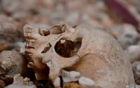 Des crânes et restes d'ossements humains découverts à Harhoura