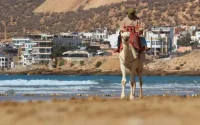 Ôvoyages revoie ses ambitions à la hausse au Maroc
