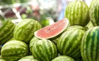 Pastèque : ce qui rend le produit Marocain si cher en Europe