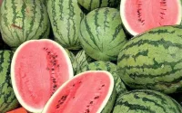 Espagne : 81 % des pastèques importées sont marocaines