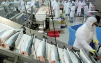 Pêche maritime : un milliard d'investissements à Dakhla