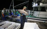 Accord de Pêche : l'Espagne ignore le Polisario