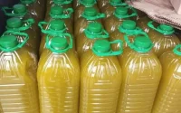 Maroc : très très chère huile d'olive