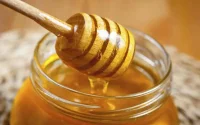 Apiculture : une année blanche pour le miel marocain ?