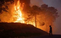 Incendies à M'diq : 4 pyromanes présumés arrêtés