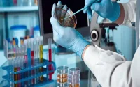 Le Maroc veut mettre le paquet sur la recherche biomédicale