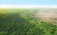 Les mystères de l'ancien Sahara vert dévoilés par des chercheurs