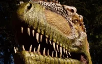 Neuf dents de dinosaures du Maroc stoppées à la frontière franco-italienne