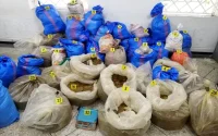 Plus d'une tonne de cannabis saisie à Tétouan, trois personnes interpellées