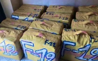 Maroc : près de 500 tonnes de drogue saisies cette année