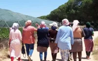 Une délégation rend visite aux saisonnières marocaines à Huelva