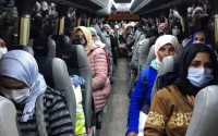 Espagne : arrivée des saisonnières marocaines dans les champs de fraises à Huelva