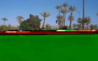 Maroc : mort programmée du secteur de la location de voitures