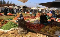 Le CESE s'intéresse aux souks hebdomadaires au Maroc