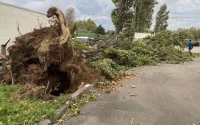 Tempête Kirk : quelles conséquences pour le Maroc ?