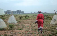 Maroc : la vente des terres collectives a rapporté gros à l'État