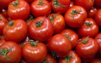 Tomates : le Royaume-Uni délaisse l'Espagne pour le Maroc