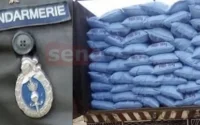 Trafic d'engrais marocain entre le Sénégal et la Gambie