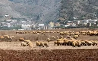 Léger tremblement de terre dans le nord du Maroc