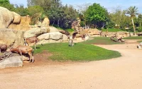 Zoo de Ain-Sebâa : une mission pour comprendre le retard des travaux