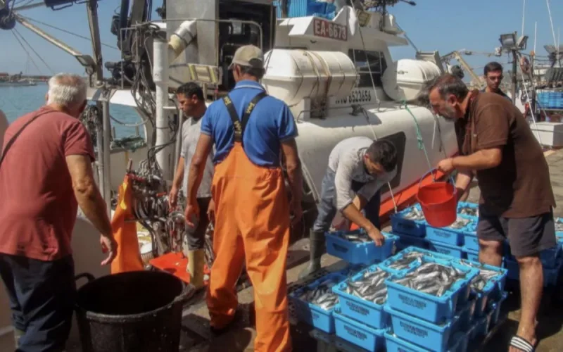 L'UE confirme la fin de l'accord de pêche avec le Maroc