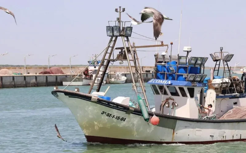 Renouvellement de l'accord de pêche UE-Maroc : un défi pour l'Espagne