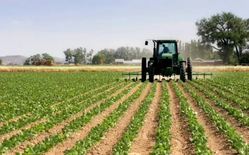 Agriculture : appel au renforcement de la coopération entre le Maroc et Israël