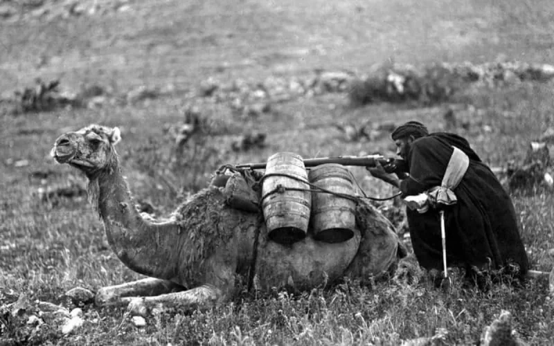 L'Espagne doit s'excuser pour les armes chimiques dans le Rif