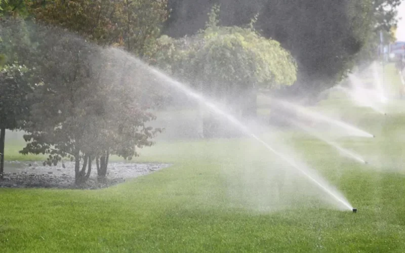 Tanger recycle ses eaux usées pour arroser ses espaces verts