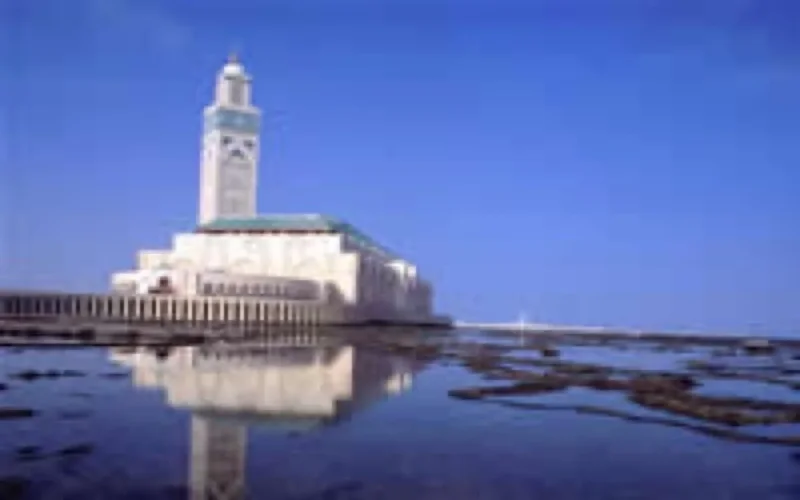 Ces Occidentaux qui embrassent l'Islam