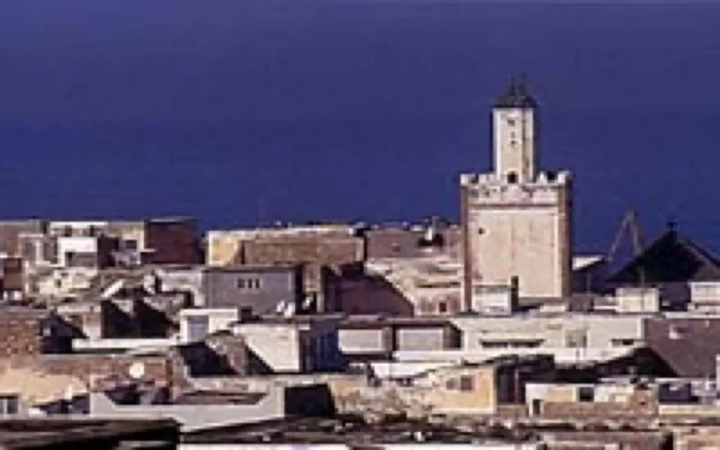 Echos de Safi : Commerce sauvage