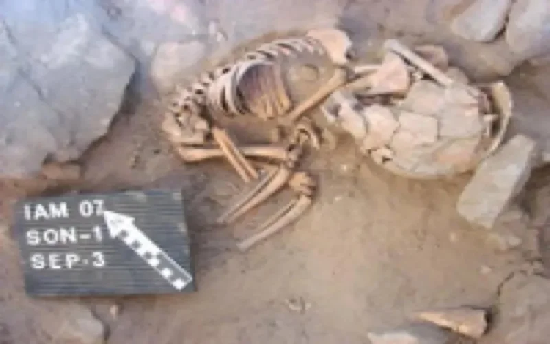 Découverte d'une nécropole de 5000 ans à Khemisset 