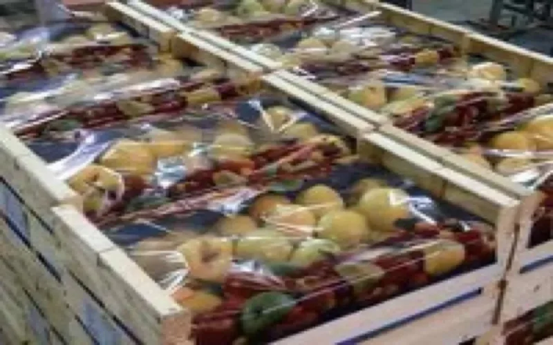 Les fruits et légumes marocains exportés par voie maritime