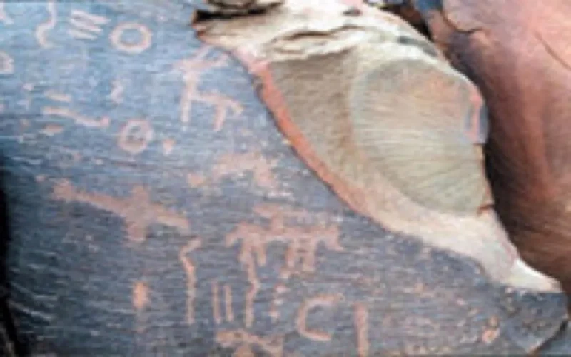 Le site de Foum Chenna bientôt inscrit à l'Unesco ?