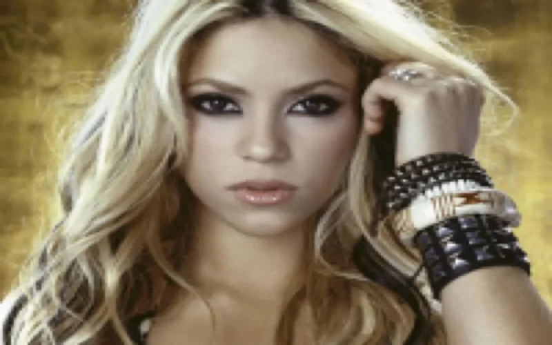 Un militaire condamné pour un montage photo de son supérieur avec Shakira