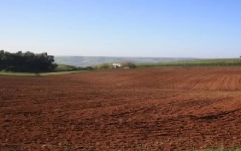 L'Etat marocain possède un million d'hectares de réserves foncières