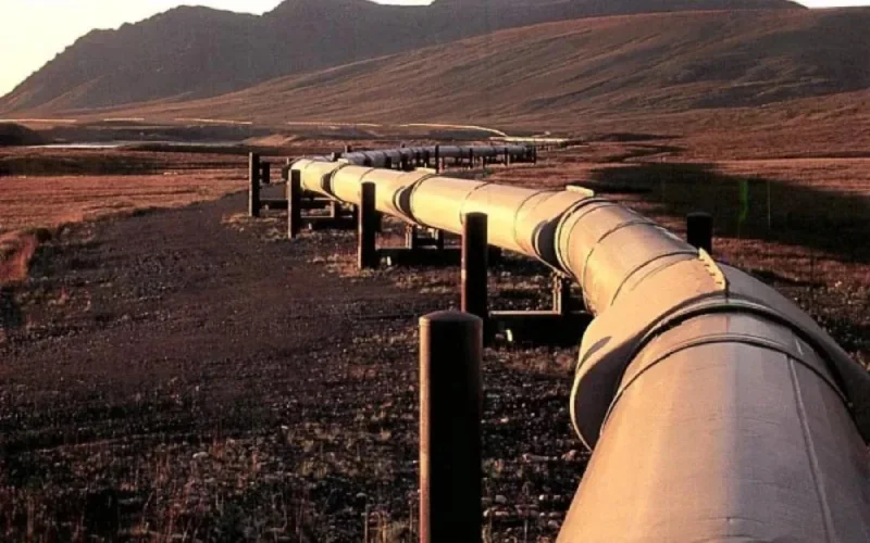 Maroc - Polisario : la guerre du pétrole