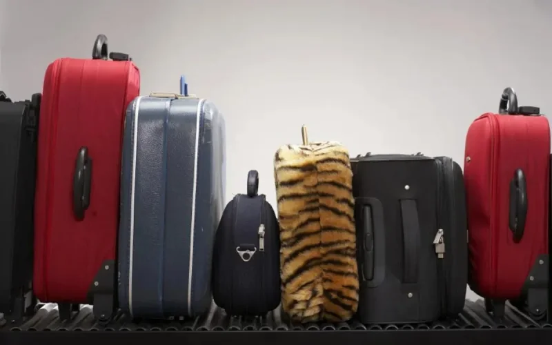 Vols de bagages à l'aéroport de Casablanca : le directeur limogé