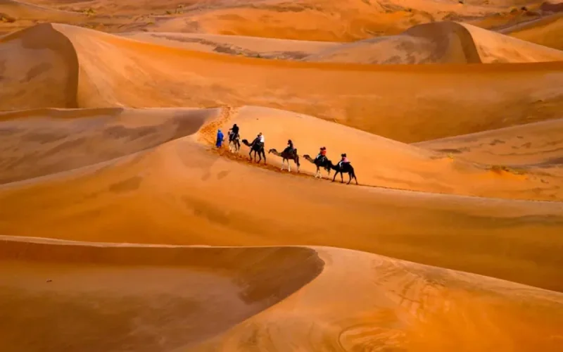 Le Sahara marocain, l'un des meilleurs déserts au monde