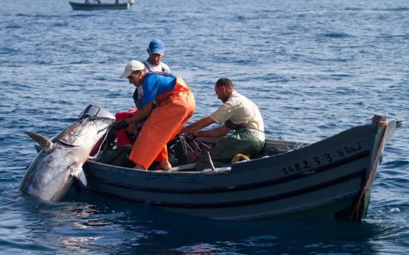 La marine espagnole ouvre le feu sur des bateaux de pêche marocains